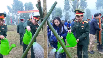 Quân khu 2 và các đơn vị quân đội đóng trên địa bàn tổ chức Lễ phát động “Tết trồng cây đời đời nhớ ơn Bác Hồ”