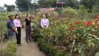 Tiếp thêm sức mạnh cho người dân vùng thiên tai