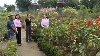 Tiếp thêm sức mạnh cho người dân vùng thiên tai