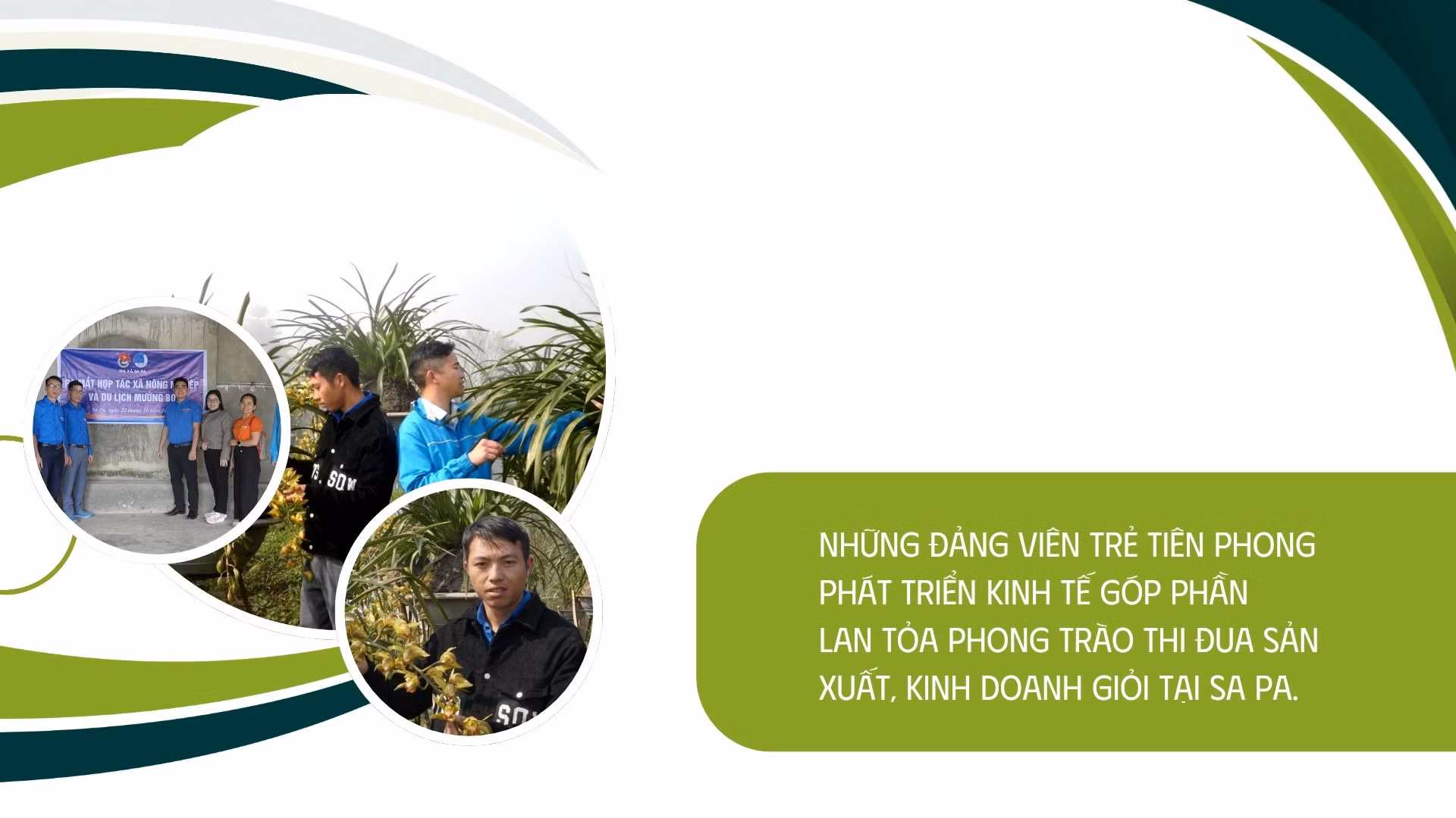 dang-vien-tre-20250328-101439-0003.jpg