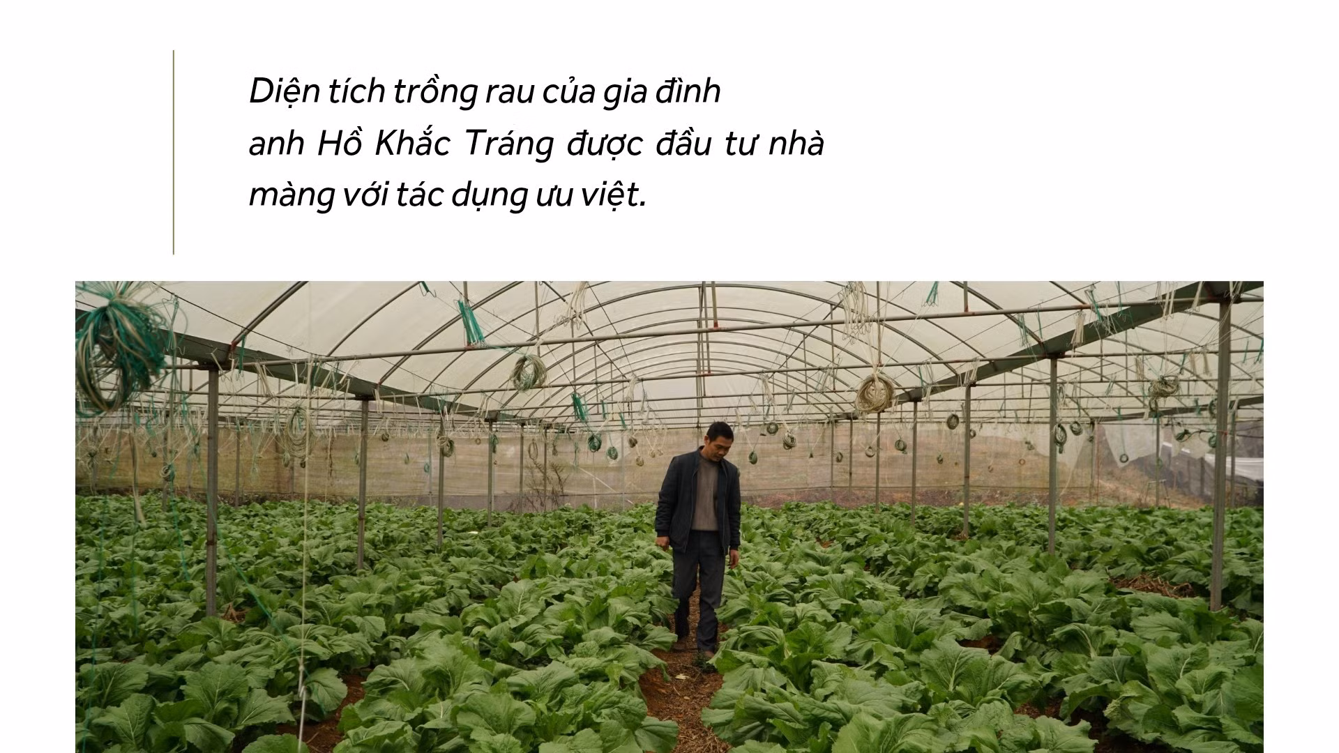 tien-phong-20260130-223715-0003.jpg