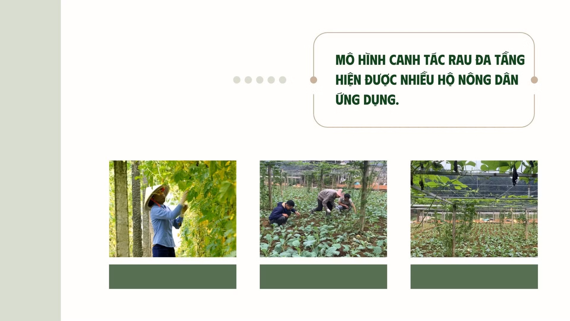 phang-taozip-4.jpg