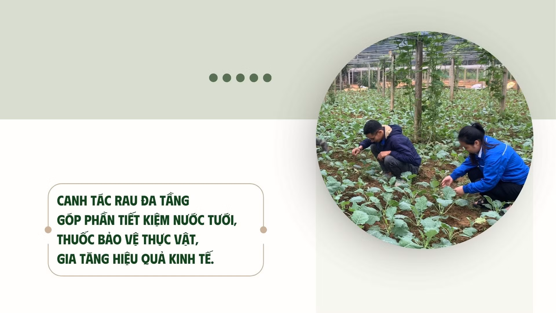 phang-taozip-5.jpg