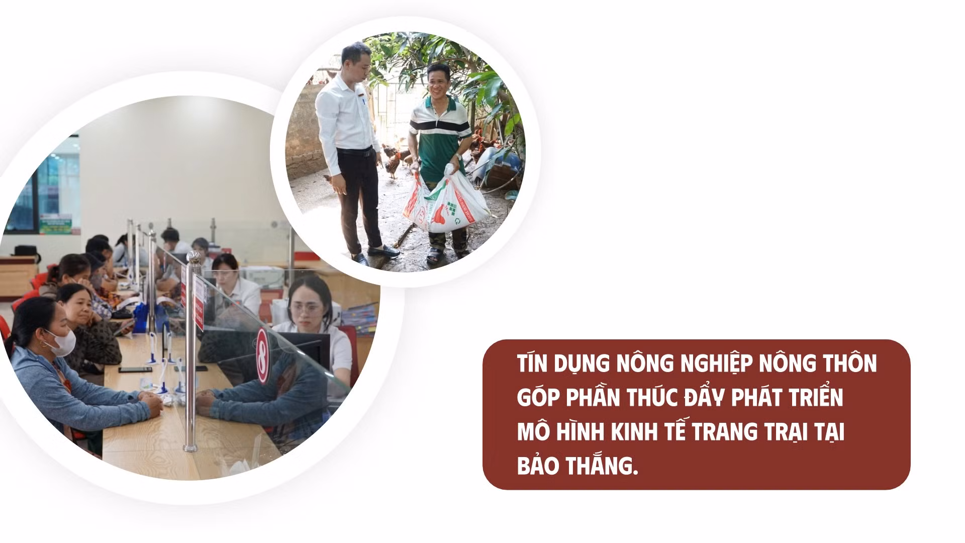 rin-dung-xanh-2.jpg