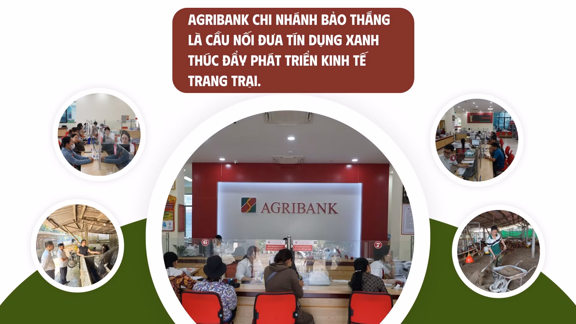 rin-dung-xanh-5.jpg