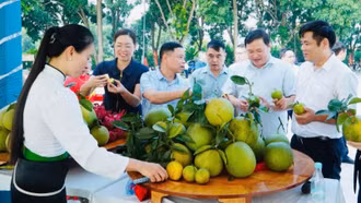 Sôi nổi không gian “Hoa trái bốn mùa - Trải nghiệm và kết nối” tại Công viên Mường Lò