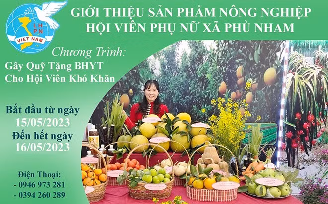 Những “bông hoa” trong “vườn Bác” ảnh 1