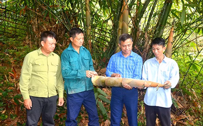 Yên Bái học và làm theo Bác kính yêu ảnh 3