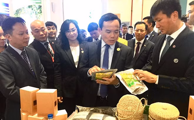 Yên Bái có trên 50 sản phẩm tham dự Hội chợ Trung Quốc – Nam Á lần thứ 7 và Hội chợ xuất nhập khẩu Côn Minh lần thứ 27 ảnh 1