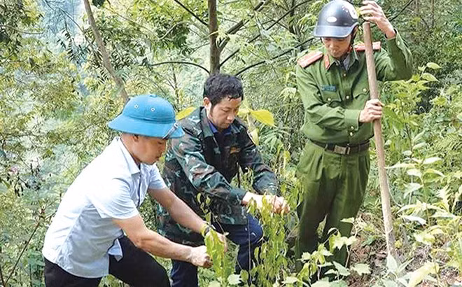 Thực hiện Đề án số 11 của Tỉnh ủy Yên Bái: Đột phá mang tính chiến lược trong công tác cán bộ - Bài 2: Tạo môi trường, cơ hội để tạo nguồn cán bộ ngang tầm nhiệm vụ ảnh 2