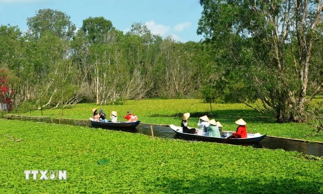 Khách du lịch tham quan rừng tràm Trà Sư, thị xã Tịnh Biên, An Giang.