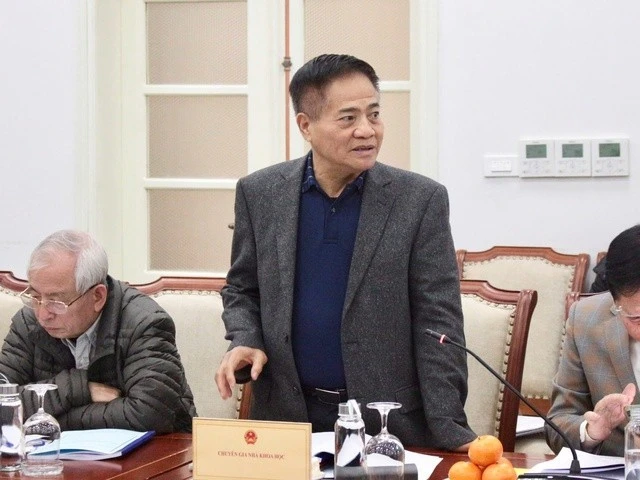 Phó Giáo sư-Tiến sỹ Đào Duy Quát chia sẻ ý kiến tại Hội thảo.