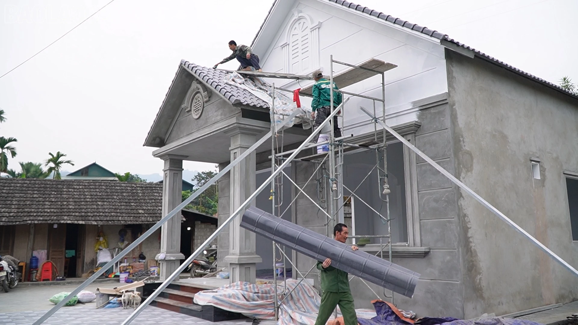baolaocai-tl_vanh-pstl-giam-ngheo01-00-05-04still008.jpg