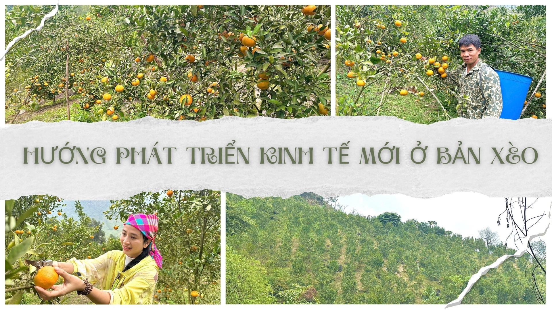 Hướng phát triển kinh tế mới ở Bản Xèo