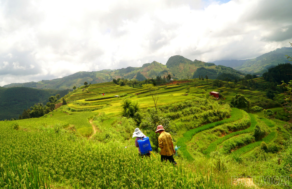 Tả Van: A "Grand Arc" of Tourism Potential in Sapa’s Mường Hoa Valley