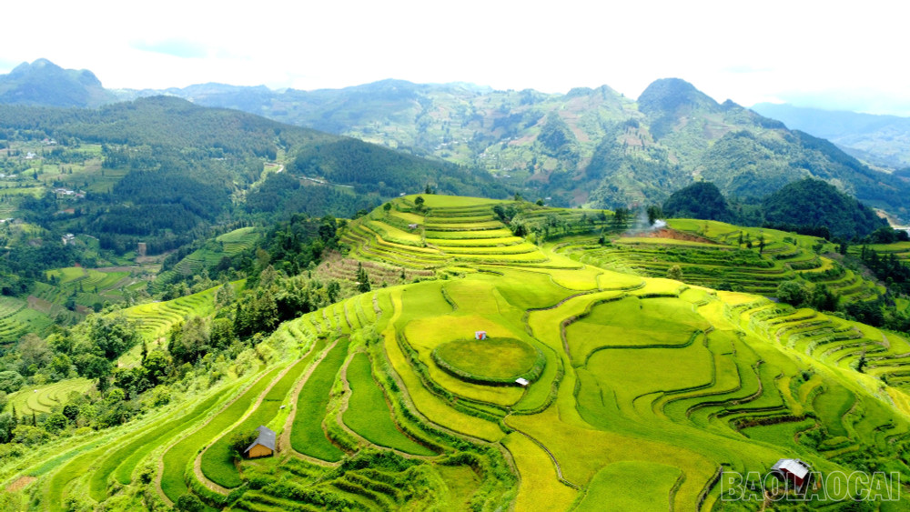 Tả Van: A "Grand Arc" of Tourism Potential in Sapa’s Mường Hoa Valley