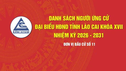 [Infographic] Tiểu sử tóm tắt những người ứng cử đại biểu HĐND tỉnh Lào Cai khóa XVII, nhiệm kỳ 2026 - 2031 (Đơn vị bầu cử số 11)