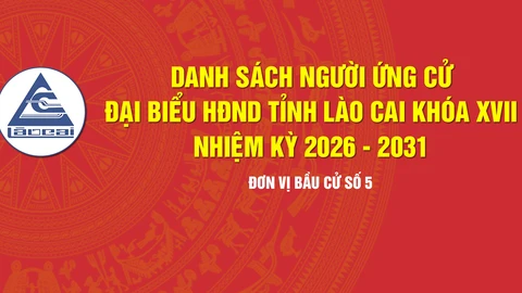 [Infographic] Tiểu sử tóm tắt những người ứng cử đại biểu HĐND tỉnh Lào Cai khóa XVII, nhiệm kỳ 2026 - 2031 (Đơn vị bầu cử số 5)