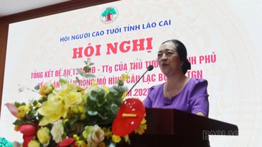 Hội Người cao tuổi tỉnh tổng kết đề án 1336 và Sơ kết 06 tháng đầu năm 2025