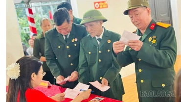 Kết thúc bầu cử, Lào Cai có tỷ lệ cử tri đi bầu đạt 99,998%