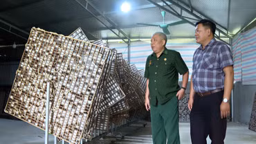 Cựu chiến binh phường Âu Lâu bản lĩnh trên mặt trận kinh tế