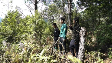 Hành trình trả lại màu xanh cho rừng