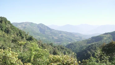 Trạm Tấu chủ động phòng, chống cháy rừng trong mùa khô hanh