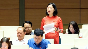 Đại biểu Nguyễn Thị Lan Anh đề xuất 4 nhóm kiến nghị về y tế