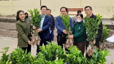 Hỗ trợ giống, phân bón mở rộng diện tích cam tại xã Phúc Khánh
