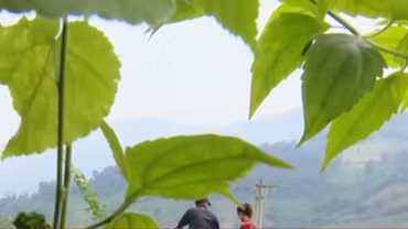 Bẫy 'hôn nhân đổi đời' trên mạng: Nhiều nạn nhân bị bán ra nước ngoài