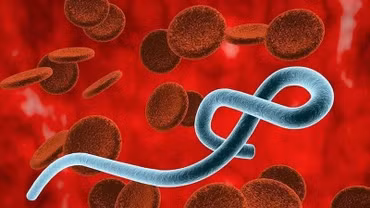 "2 phút vàng" ngăn chặn nguy cơ lây nhiễm Ebola