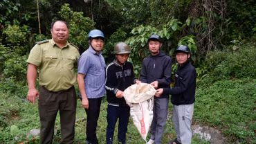 Xã Bản Liền: một cá thể cu li được thả về tự nhiên
