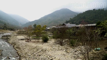 Nhịp sống hồi sinh ở Tú Lệ