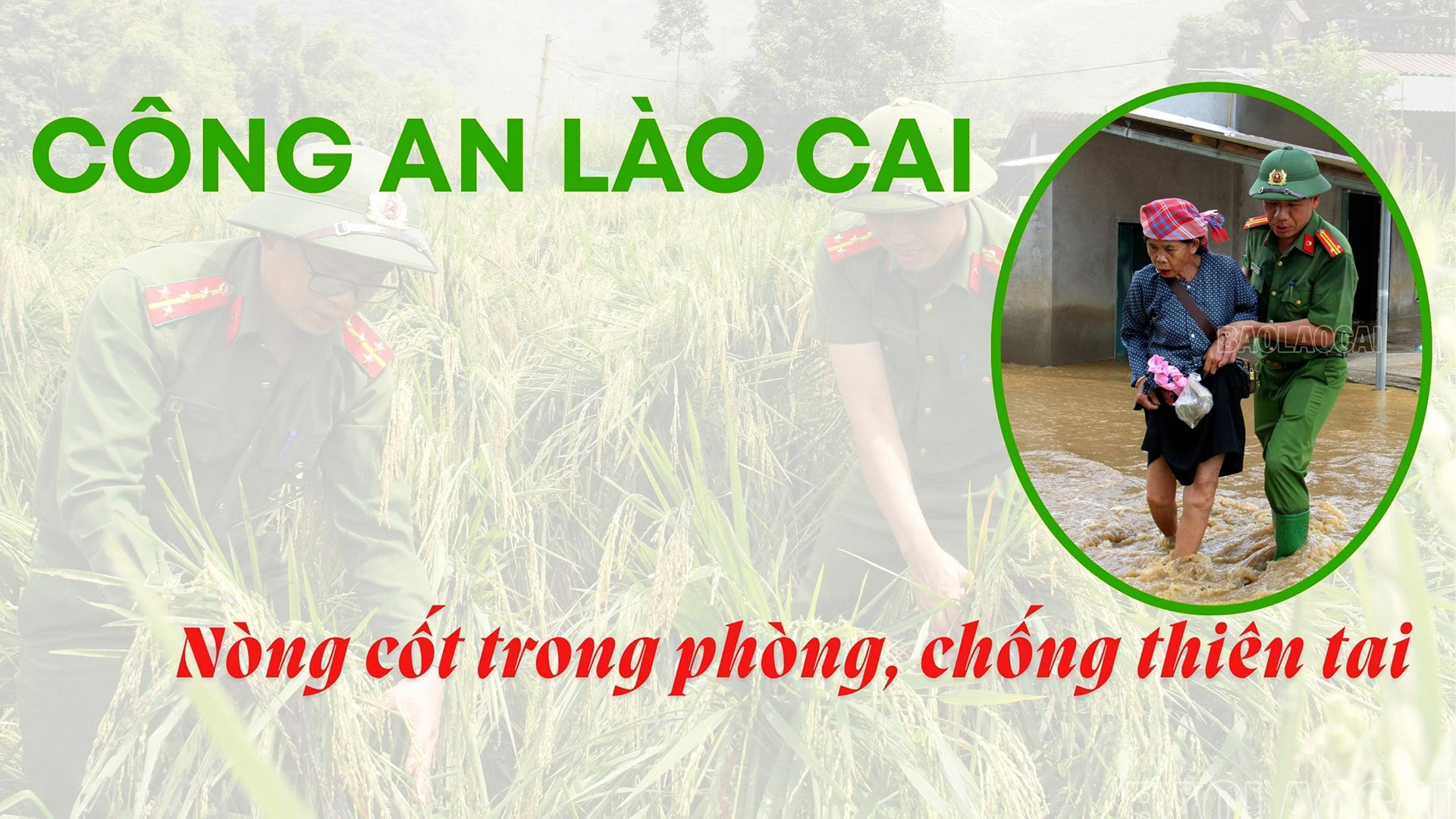 Nòng cốt trong phòng, chống thiên tai 