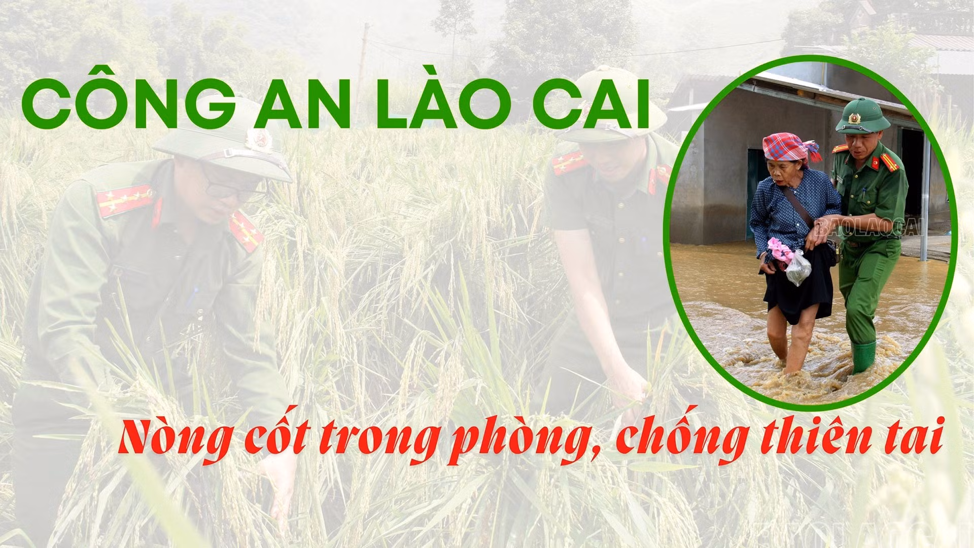 Nòng cốt trong phòng, chống thiên tai 
