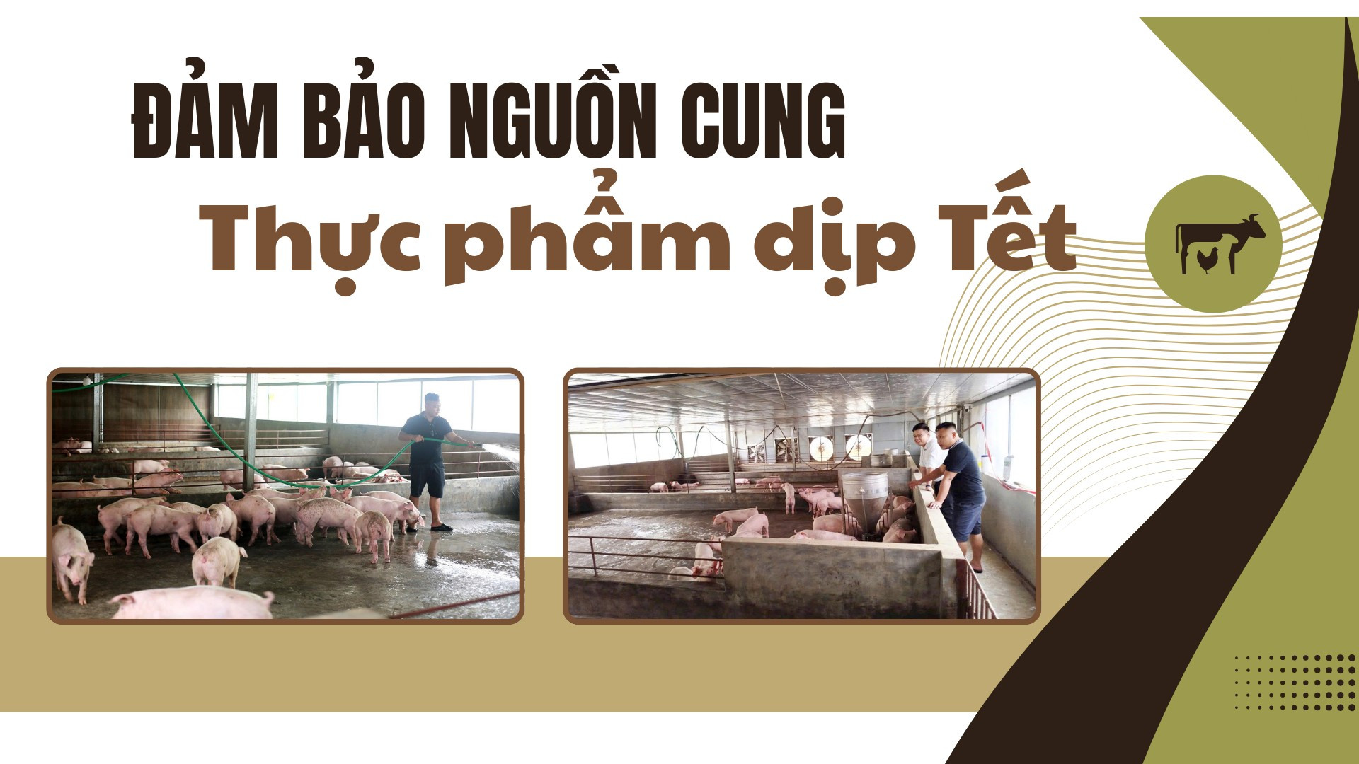 Đảm bảo nguồn cung thực phẩm dịp Tết