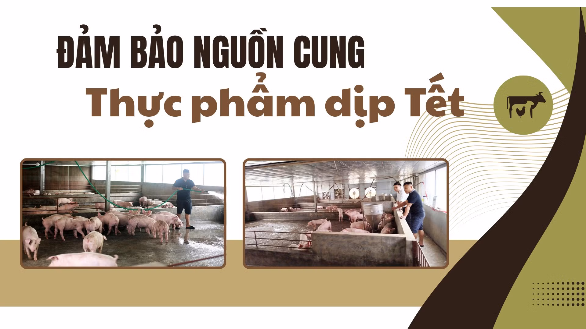 Đảm bảo nguồn cung thực phẩm dịp Tết