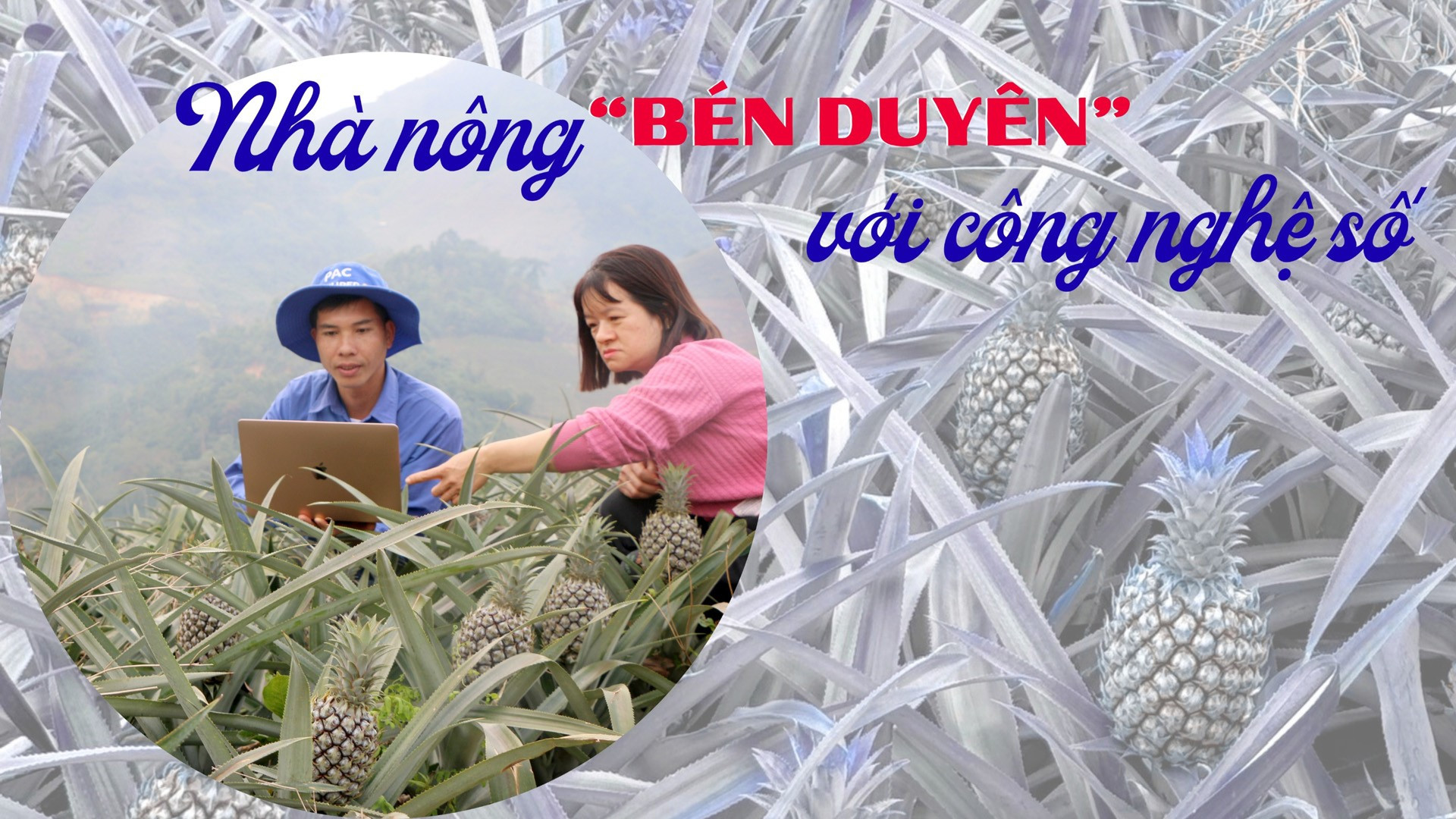 Nhà nông "bén duyên" với công nghệ số