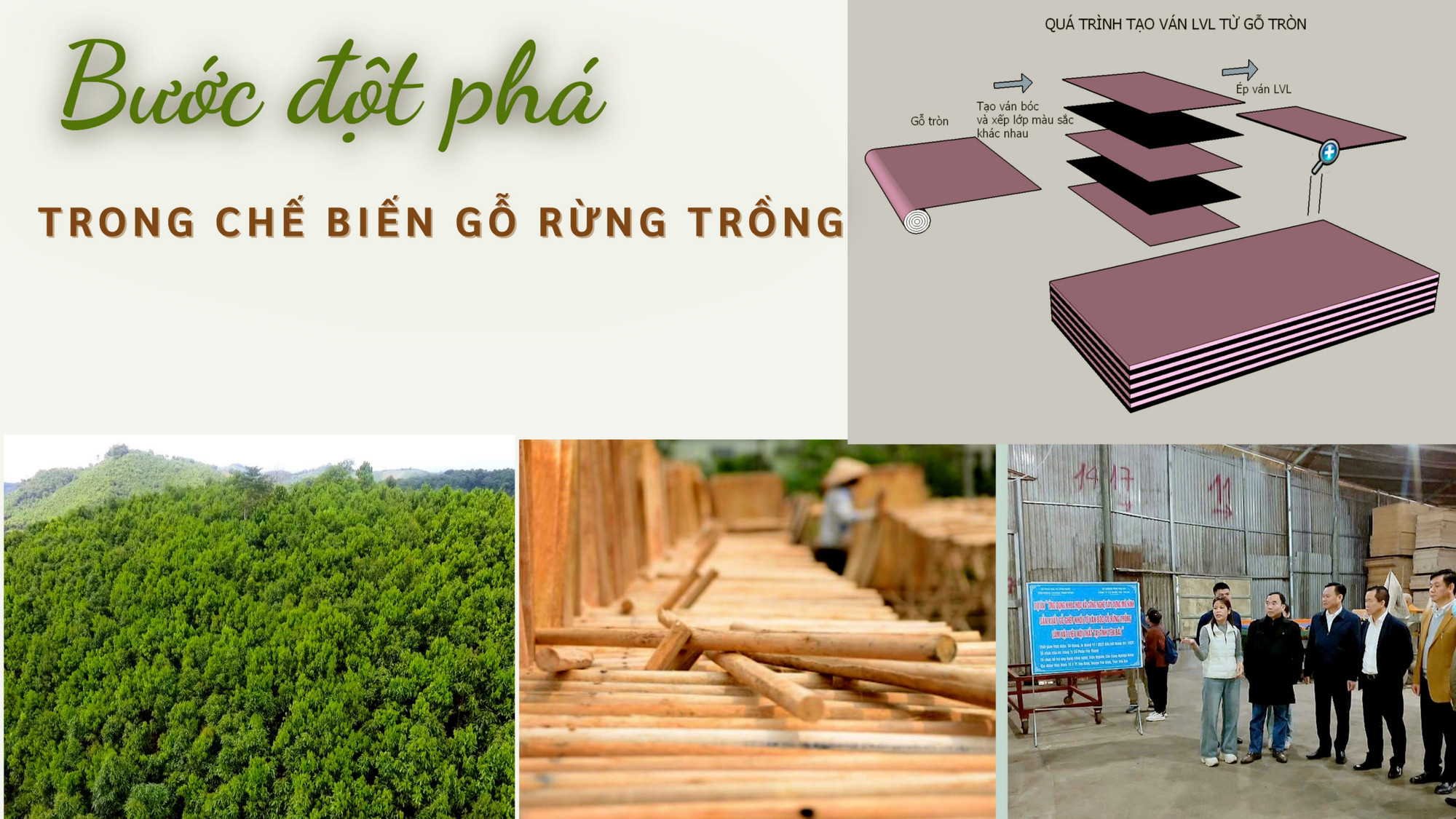 Bước đột phá trong chế biến gỗ rừng trồng