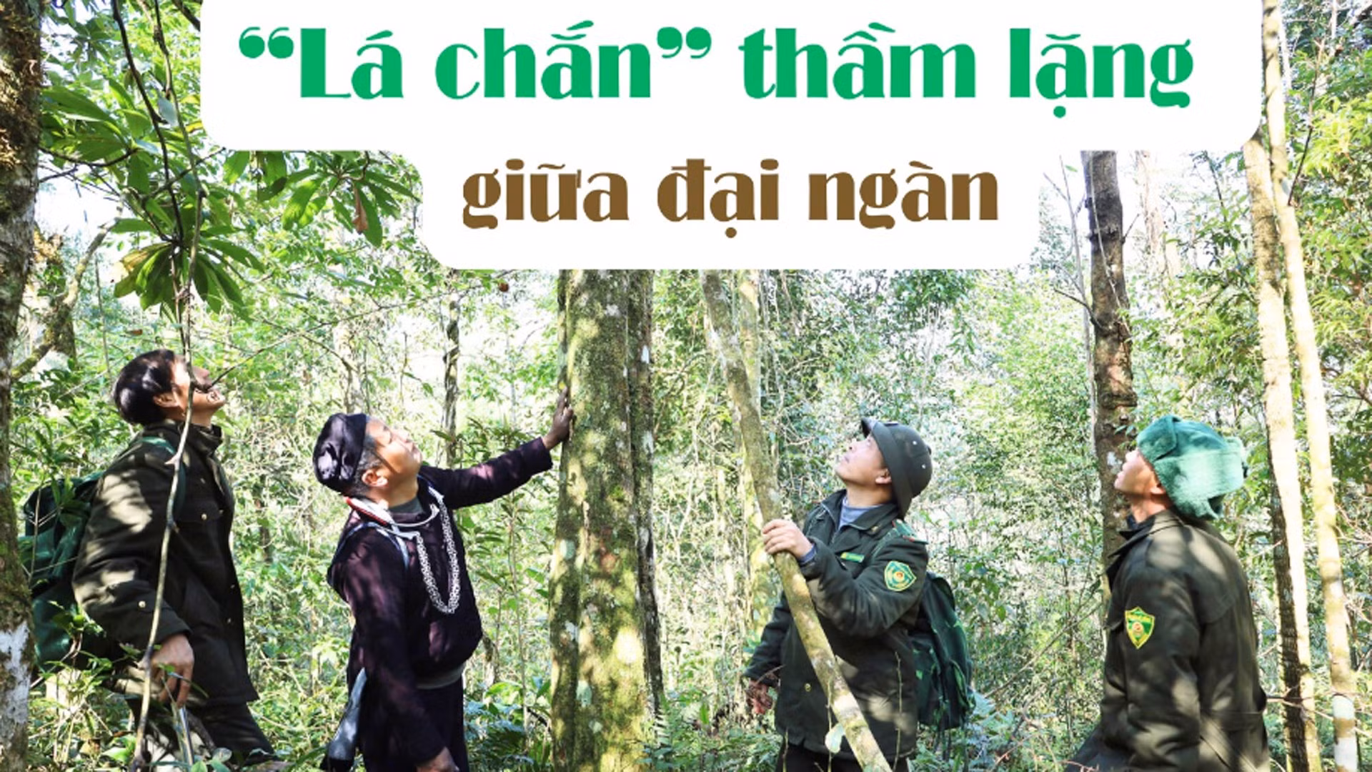 “Lá chắn” thầm lặng giữa đại ngàn
