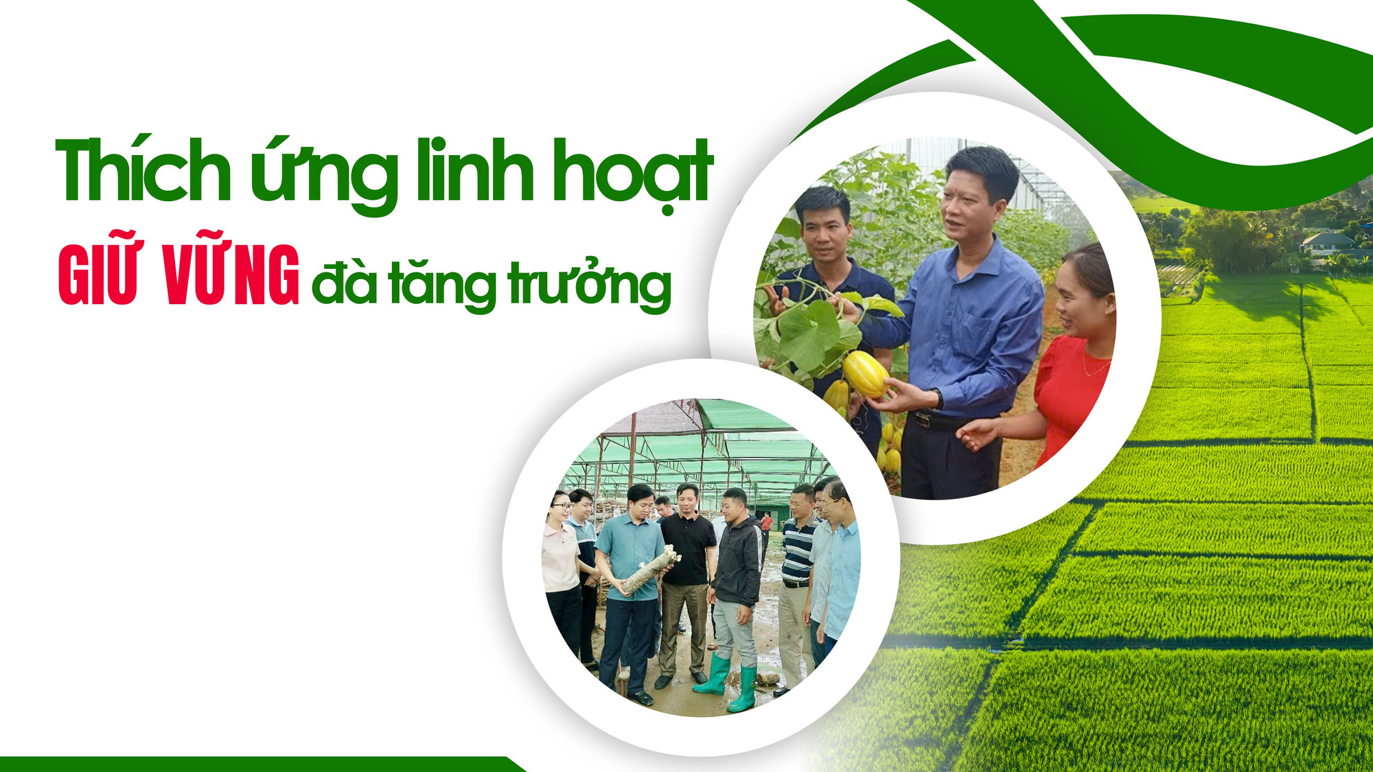 Thích ứng linh hoạt giữ vững đà tăng trưởng