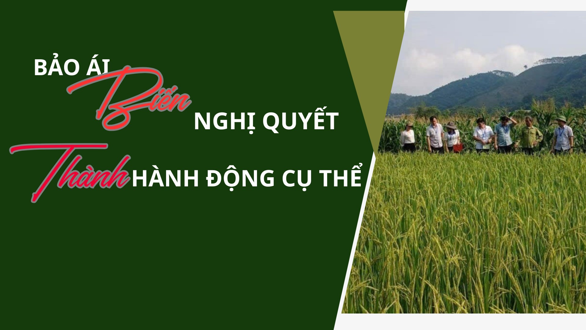 Bảo Ái: Biến nghị quyết thành hành động cụ thể