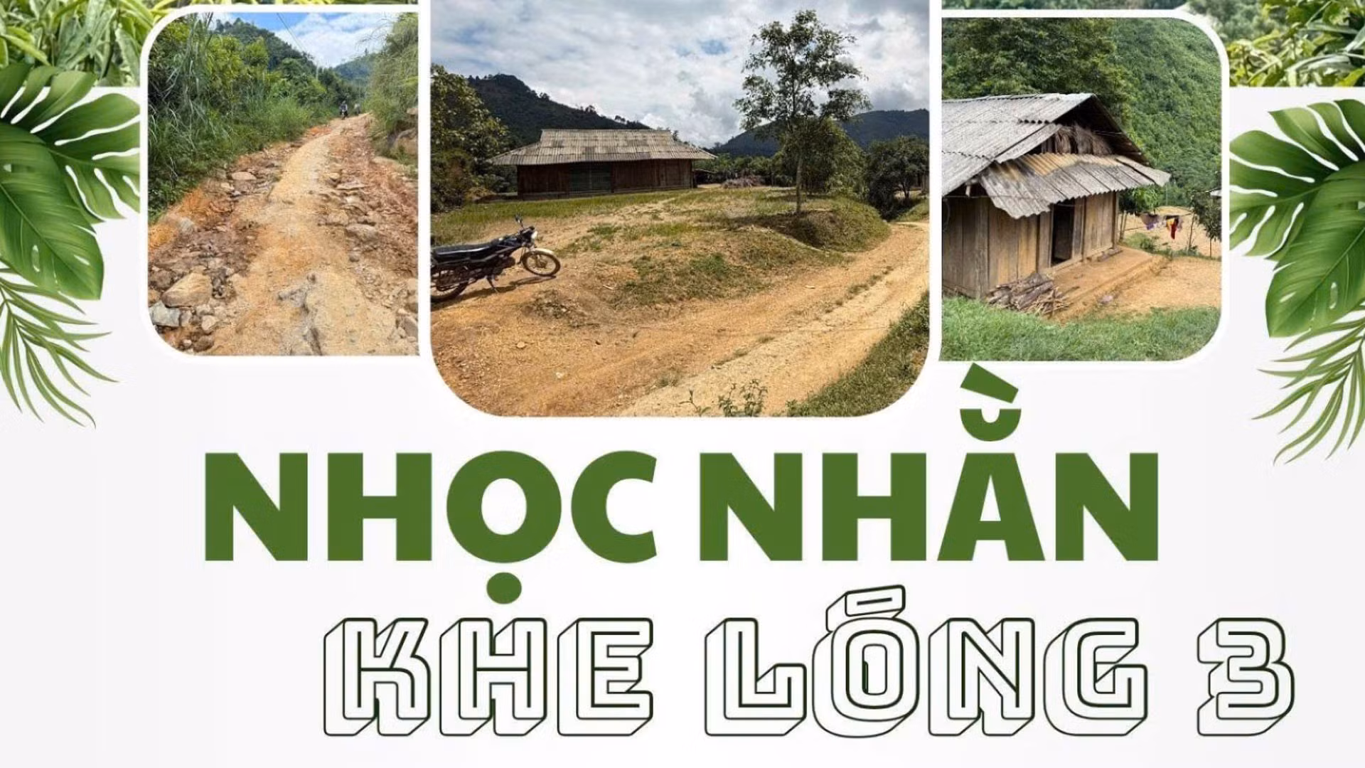 Nhọc nhằn Khe Lóng 3