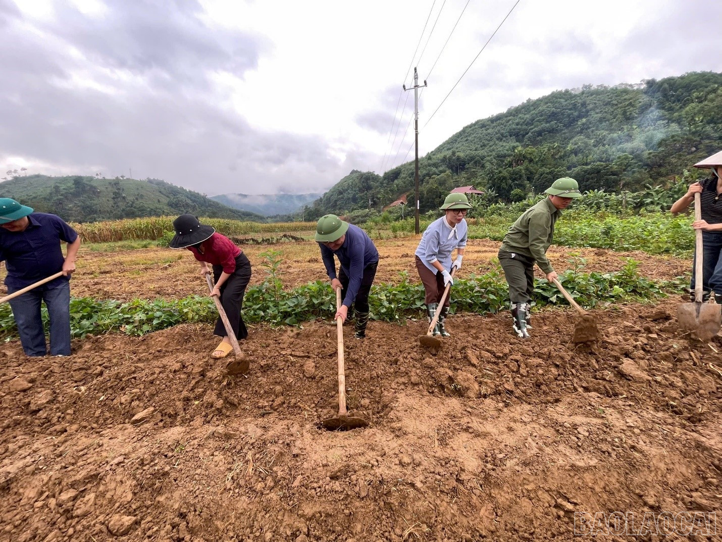 Phát động phong trào thi đua trồng cây vụ đông. - Ảnh: Thuý Quỳnh