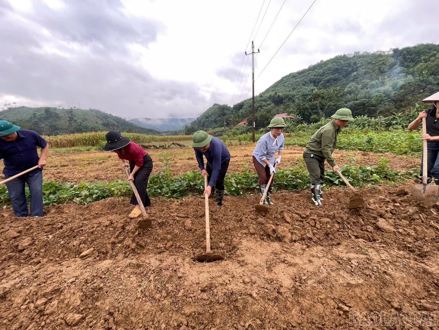 Phát động phong trào thi đua trồng cây vụ đông. - Ảnh: Thuý Quỳnh