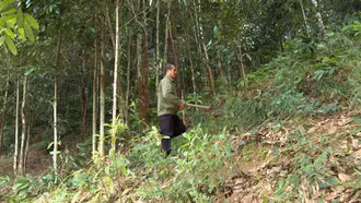 Đảng viên đi đầu trong phát triển kinh tế ở Chiềng Ken