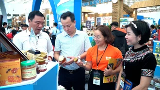 Lào Cai đẩy mạnh xúc tiến, hỗ trợ doanh nghiệp