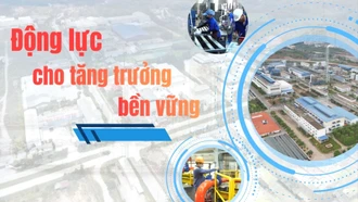 Động lực cho tăng trưởng bền vững