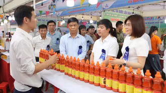 Lào Cai tổ chức Tuần lễ nhận diện nông sản an toàn, sản phẩm OCOP Lào Cai tại Ninh Bình