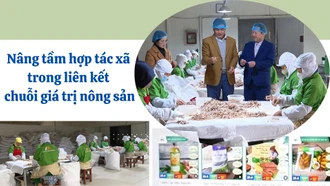 Nâng tầm hợp tác xã trong liên kết chuỗi giá trị nông sản